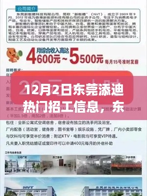 东莞添迪公司最新热门招工信息详解，12月2日特别更新