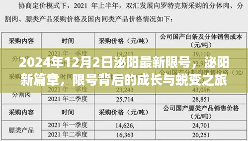 泌阳新篇章，限号背后的成长与蜕变之旅（最新更新至2024年）