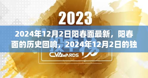 阳春面的历史回响与独特记忆，2024年12月2日的最新解读