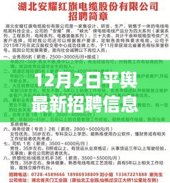 平舆最新招聘动态，机遇与挑战的深度解析与观点碰撞