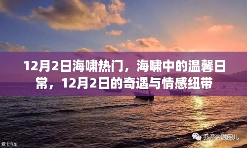 海啸中的温情与奇遇，12月2日的情感纽带与日常