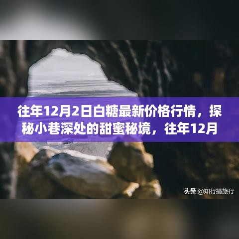 往年12月2日白糖最新价格行情与小巷糖业小店的奇妙故事揭秘