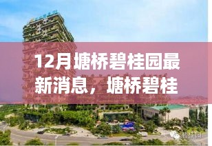 塘桥碧桂园，揭秘十二月最新动态与特定时代地位与影响