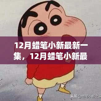 2024年12月4日 第7页