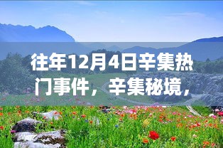 探寻辛集秘境，自然美景之旅与心灵宁静之地的探寻往年12月4日辛集热门事件回顾