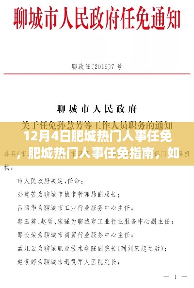 肥城人事任免指南，完成12月4日任免任务详解