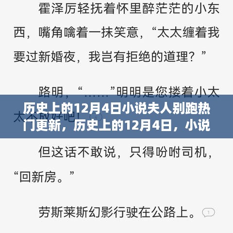 历史上的12月4日，夫人别跑小说深度评测与最新更新热议