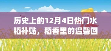 稻香里的特殊补贴日，历史上的十二月四日水稻补贴回顾