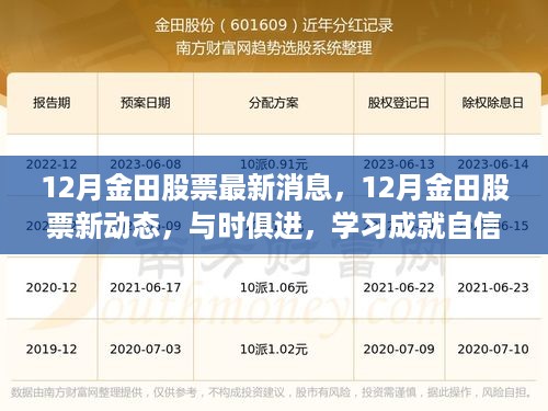 12月金田股票最新动态及股市正能量激荡，与时俱进学习成就自信