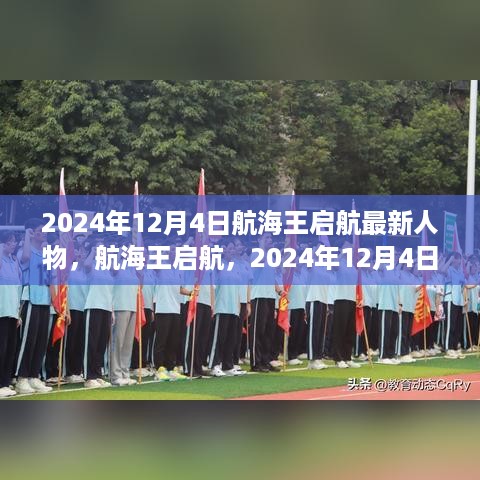 航海王启航，2024年12月4日最新人物全面解析与评测报告