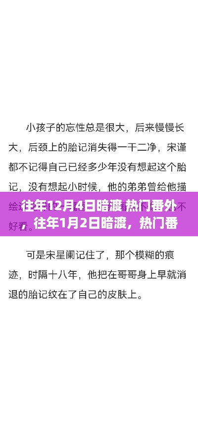 热门番外背后的故事揭秘，暗渡时光与小红书分享之旅