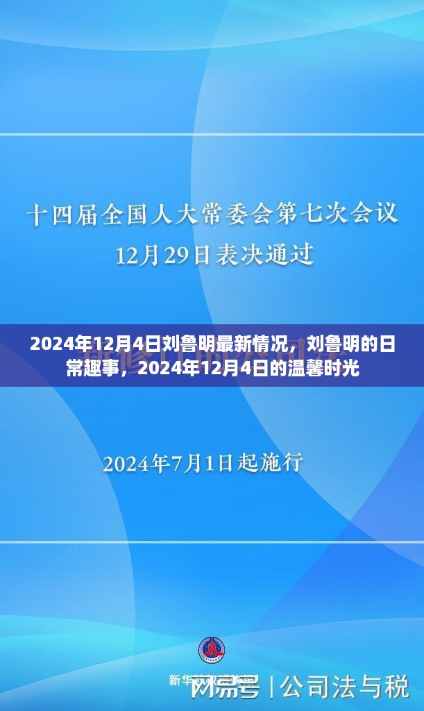 刘鲁明最新动态，2024年12月4日的日常趣事与温馨时光