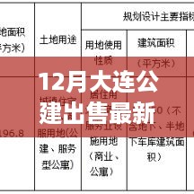 揭秘大连十二月小巷深处的宝藏公建出售新星，特色小店的独特魅力与最新出售信息