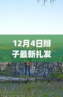 12月4日辫子新扎法，启程自然美景之旅，探寻内心宁静与平和