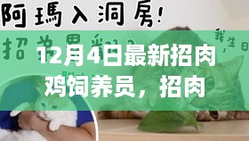 新手肉鸡饲养员的成长故事与温馨日常招聘启事