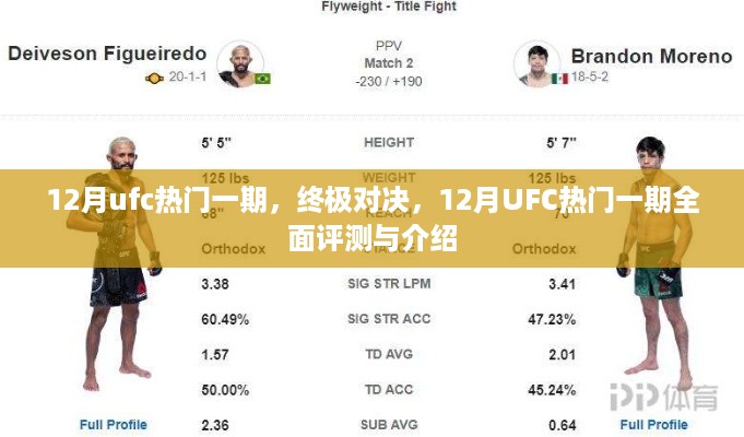 终极对决，揭秘12月UFC热门一期全面评测与介绍