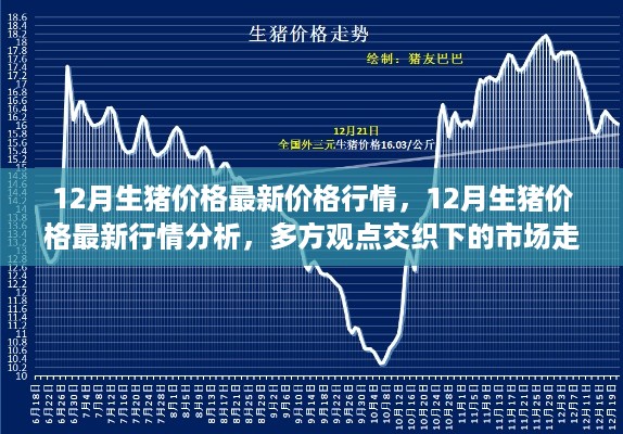 12月生猪价格最新动态，多方观点下的市场走势与行情分析