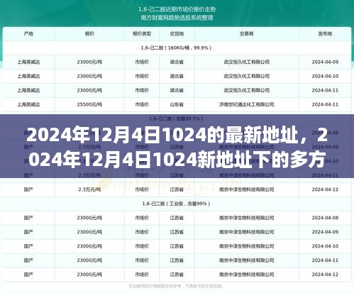 2024年12月4日新地址下的多方观点碰撞与个人立场探讨