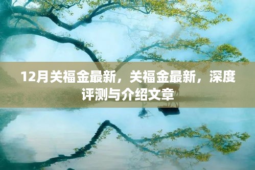 关福金最新深度评测与介绍文章，揭秘十二月最新动态