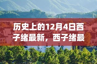 2024年12月6日 第8页