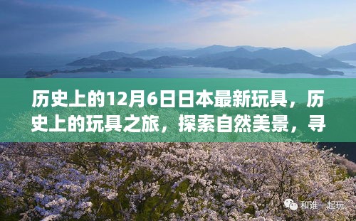 历史上的玩具之旅，探索自然美景与内心的宁静，日本最新玩具揭秘日（12月6日）