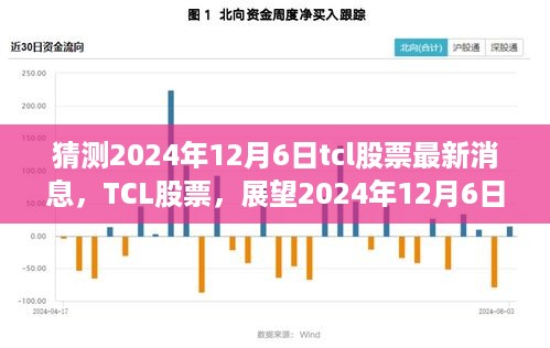 TCL股票最新动态，展望2024年12月6日的未来影响及最新消息分析