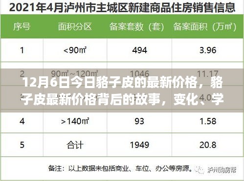 貉子皮最新价格背后的故事，变化、学习与自信的力量