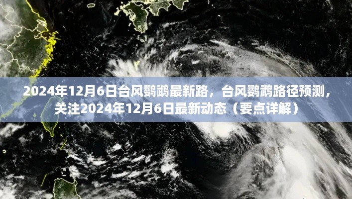 台风鹦鹉最新路径预测与动态关注，2024年12月6日详解