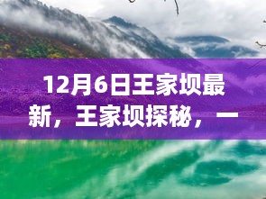 冬日探秘王家坝，与自然美景的邂逅之旅