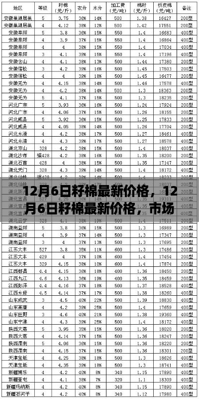 12月6日籽棉最新价格及市场走势分析与预测