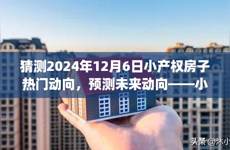 小产权房未来动向预测，2024年趋势分析与指南（适合初学者与进阶用户）