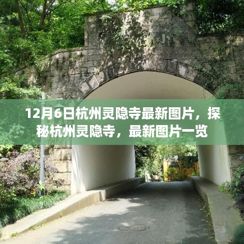 探秘杭州灵隐寺，最新图片12月6日独家呈现