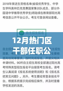 十二月干部任职公示，新职务背后的冬日故事与友谊的温暖