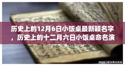 2024年12月7日 第13页