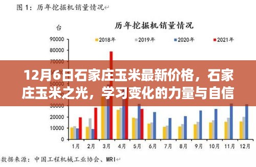 石家庄玉米最新行情，学习变化的力量与成就感的绽放