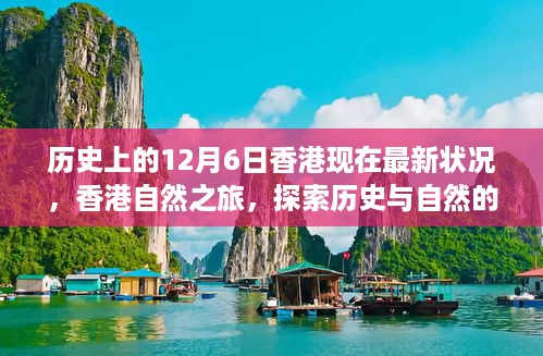 香港历史与自然之旅，探索历史变迁下的最新状况与和谐共存之道