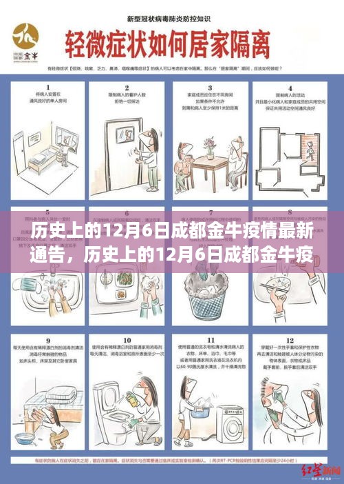 历史上的12月6日成都金牛区疫情最新通告，解读与应对策略指南