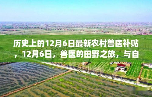 历史上的12月6日，农村兽医补贴政策更新与兽医的田野之旅心灵探寻