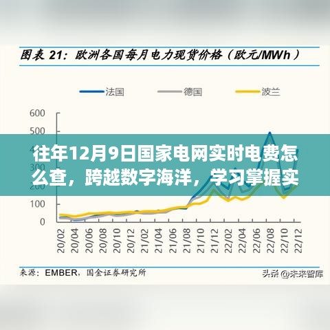 实时电费查询技巧，掌握国家电网查询方法，开启自信生活新篇章