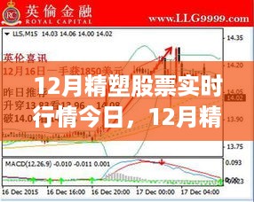 深度解析，今日精塑股票实时行情与市场走势策略布局