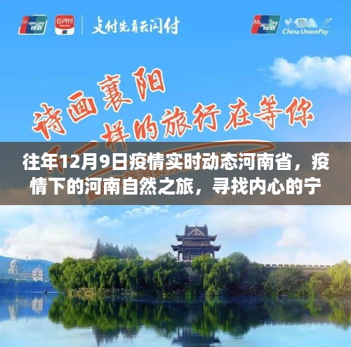 河南疫情下的自然之旅，寻找内心的宁静与美景交融的旅程