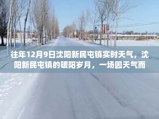 往年12月9日沈阳新民屯镇实时天气，沈阳新民屯镇的暖阳岁月，一场因天气而起的温馨故事