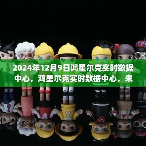 2024年12月9日鸿星尔克实时数据中心，鸿星尔克实时数据中心，未来智能商业的潜力与挑战