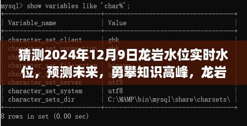 猜测2024年12月9日龙岩水位实时水位，预测未来，勇攀知识高峰，龙岩水位实时水位背后的故事与成长之路