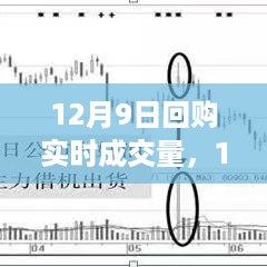 12月9日回购实时成交量，12月9日回购市场实时成交量深度剖析，背景、事件与影响