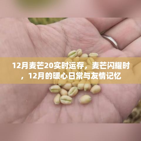 麦芒闪耀十二月，暖心日常与友情记忆，麦芒20实时运存记录精彩瞬间