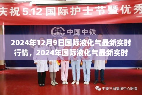 2024年国际液化气实时行情分析与解读指南