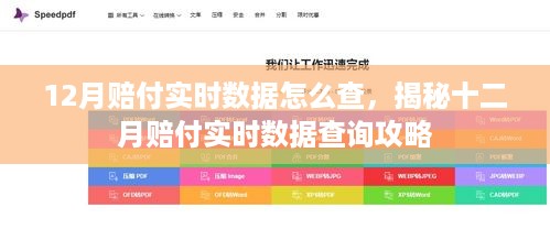 揭秘十二月赔付实时数据查询攻略，如何查询12月赔付实时数据？