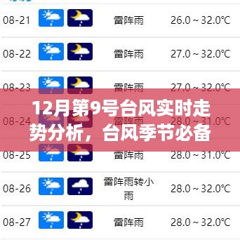 12月第9号台风实时走势分析与应对指南，台风季节必备技能