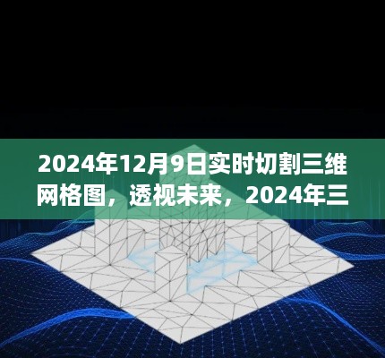 透视未来，2024年三维网格图实时切割技术展望